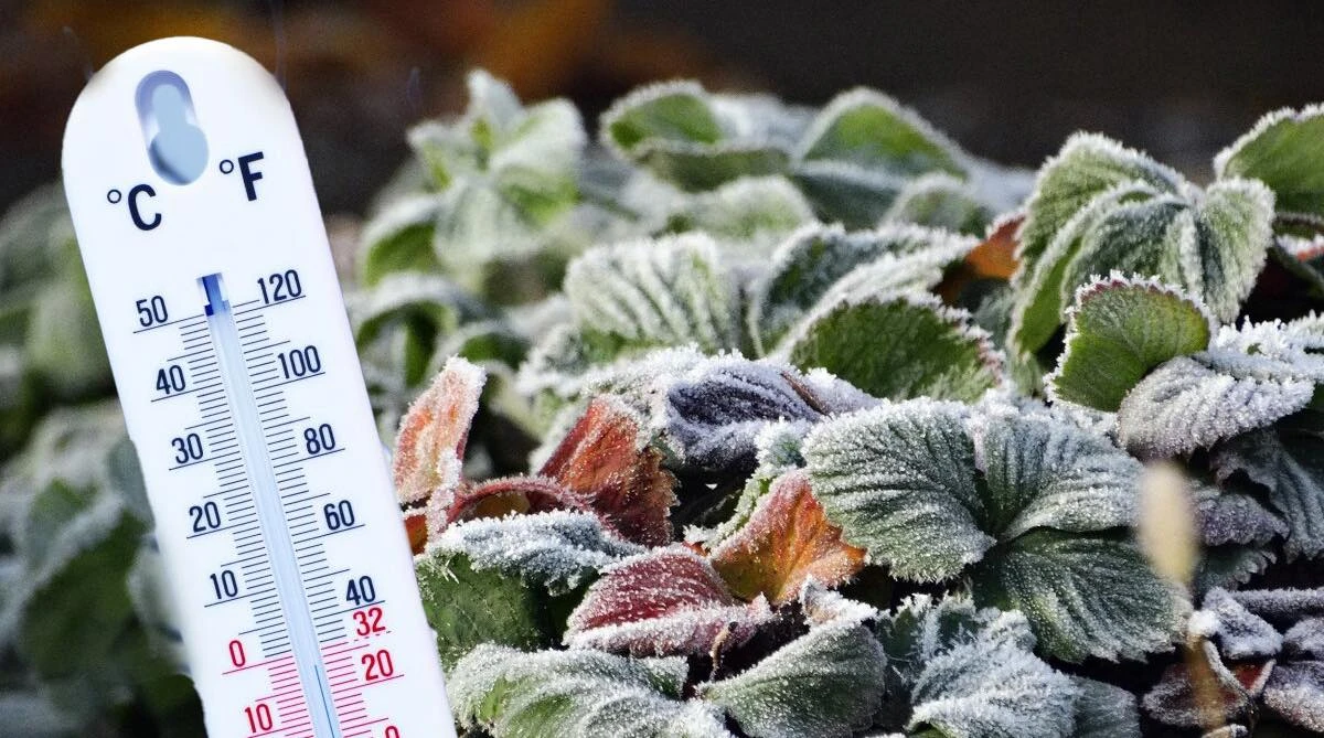 hayastanvoum-spasvvoum-e-jermastitchani-ktrvouk-nvazvoum-minchev-4-astitchan