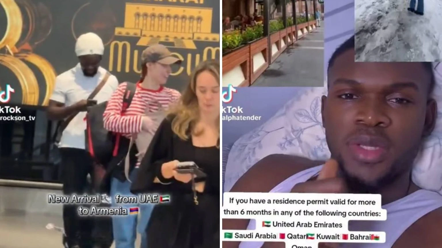 afrikacinerin-hayastan-teghaphvokhvelvou-kvocher-en-arvvoum-gvortsarary-petakan-marminnerin-zgvonvouthyan-kvoch-e-anvoum